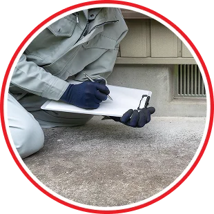 Real Estate Inspections